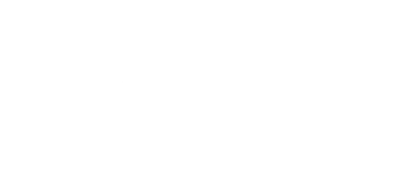 Website Marketing Pros
